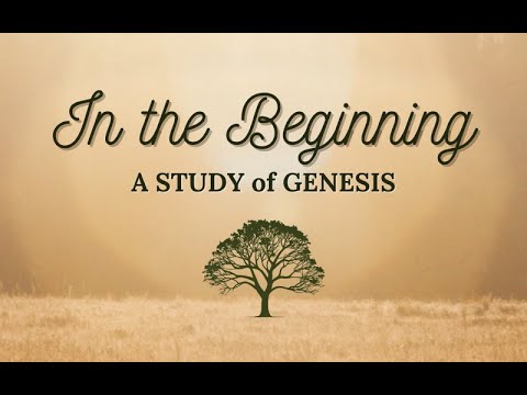 Genesis - The Solution