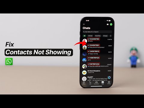 How To Fix Contacts Not Showing In WhatsApp?