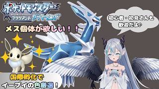 【ポケモンBDSP】 イーブイの色違いが欲しい🦇　ポケモンダイパリメイク💠 【魔天使ぺトラ】