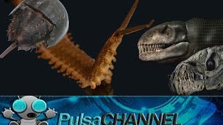 TOP 10 Fósiles Vivientes || Animales Prehistóricos en la Actualidad ||