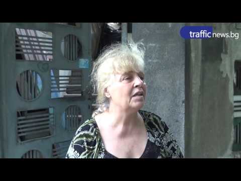 Драма с котки в центъра на Пловдив