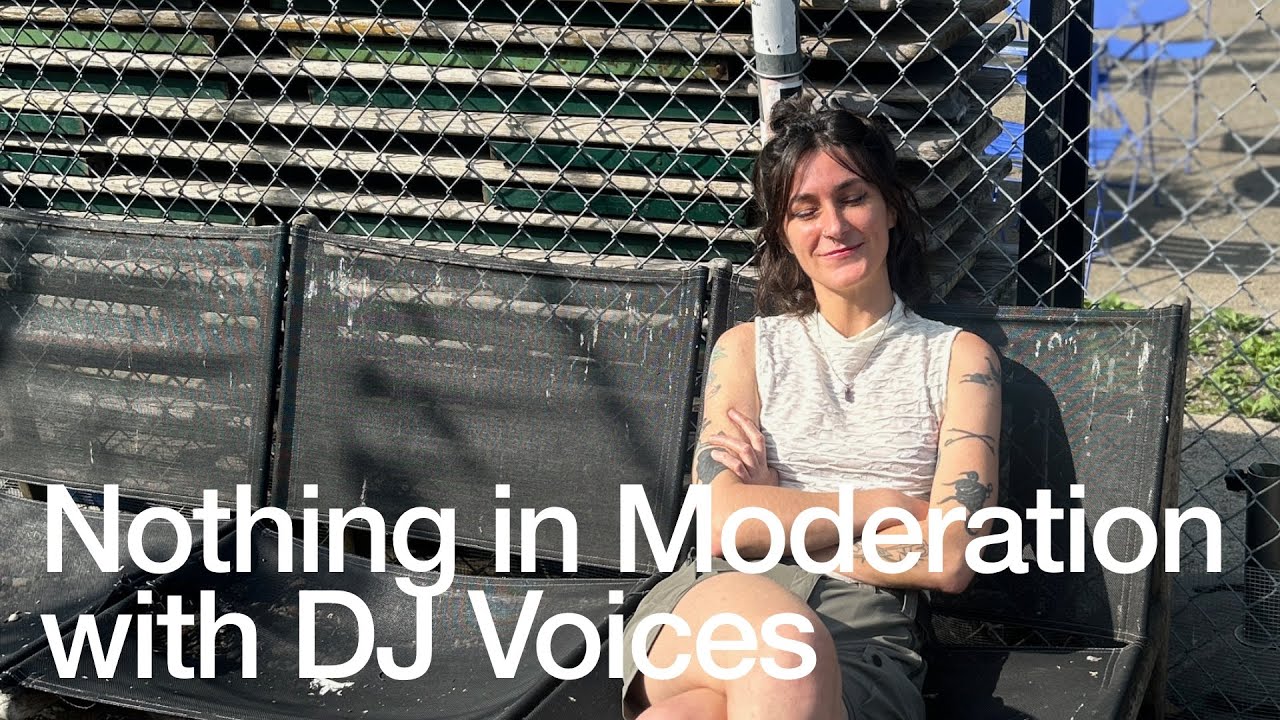 Dj Voices - Nothing in Moderation
