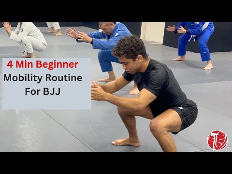 4 Min Beginner Mobility Routine For BJJ | Cobrinha BJJ