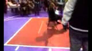 Becky&#39;s Hand Performance