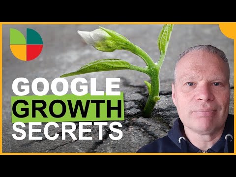 How to Help Your Small Business Grow with Google