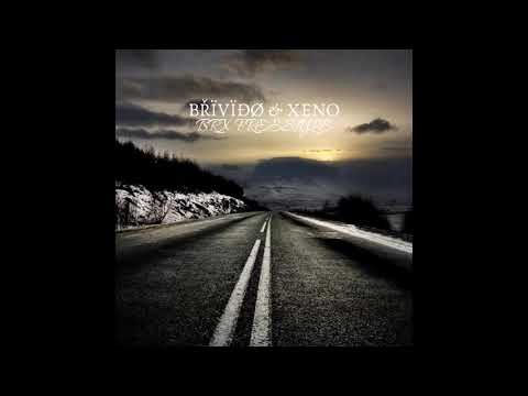 BRIVIDO - brx freestyle (feat.XENO)