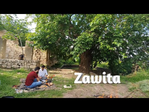 A Breakfast in Nature #1-Zawita (Têştek dınav sıruştî de)