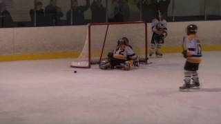 preview picture of video '#55 Goal 20110403 Whitby Wildcats 2000 Atom AA Hockey Team 2010-11 Season'