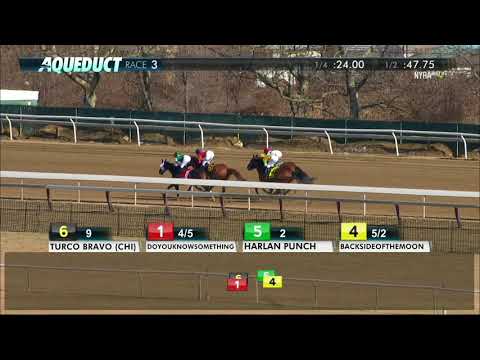 Backsideofthemoon - 2018 - The Jazil Stakes en Espanol