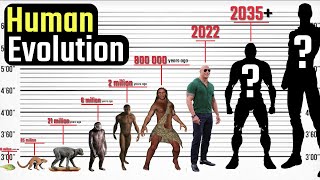 Human Evolution From the Deep Antiquity to the Dis
