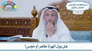 85 - هل بول الهرّة طاهر أو نجس؟ - عثمان الخميس