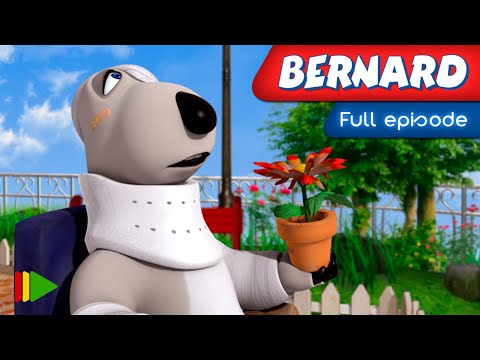 Bernard Bear - 27 - The Flower | Full episode |