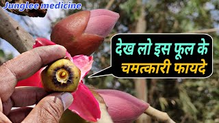 सेमल फूल के चमत्कारी औषधिय प्रयोग पहचान और फायदे/Bombax ceiba