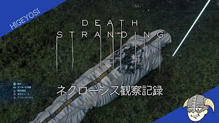 [問題] 死亡擱淺 謬爾驢人死亡