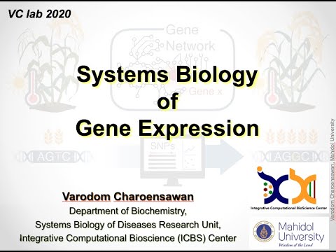 VC lab @ Mahidol - Research Intro 2020