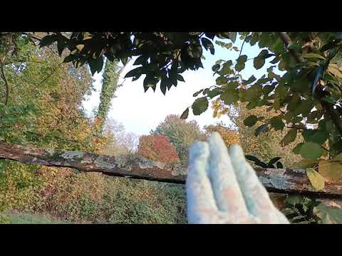 Autumn a Tricesimo (UD) Italy