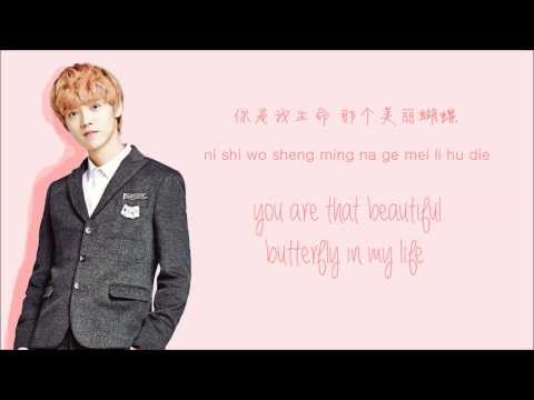 EXO-M - Don't Go (蝴蝶少女) (Color Coded Chinese/PinYin/Eng Lyrics)
