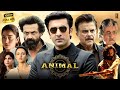 Animal Ranbir Kapoor S Career Best Movie