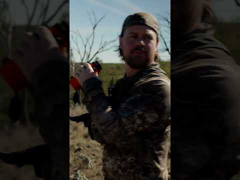 Hunting buffalo at Nyora Station, and finding everything but the Buffalo!