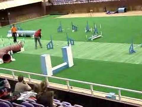Happy agility