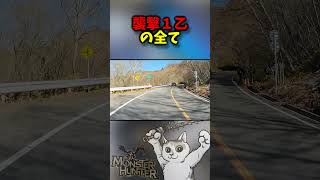 乗用車による襲撃１乙はこうなってた　【リアルでクエスト】#バルファルク  #モンハン