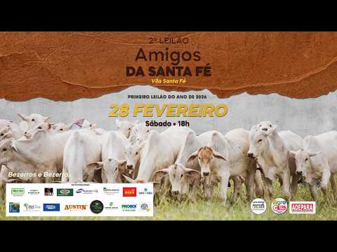 2º LEILÃO AMIGOS DA SANTA FÉ - VILA SANTA FÉ / PA