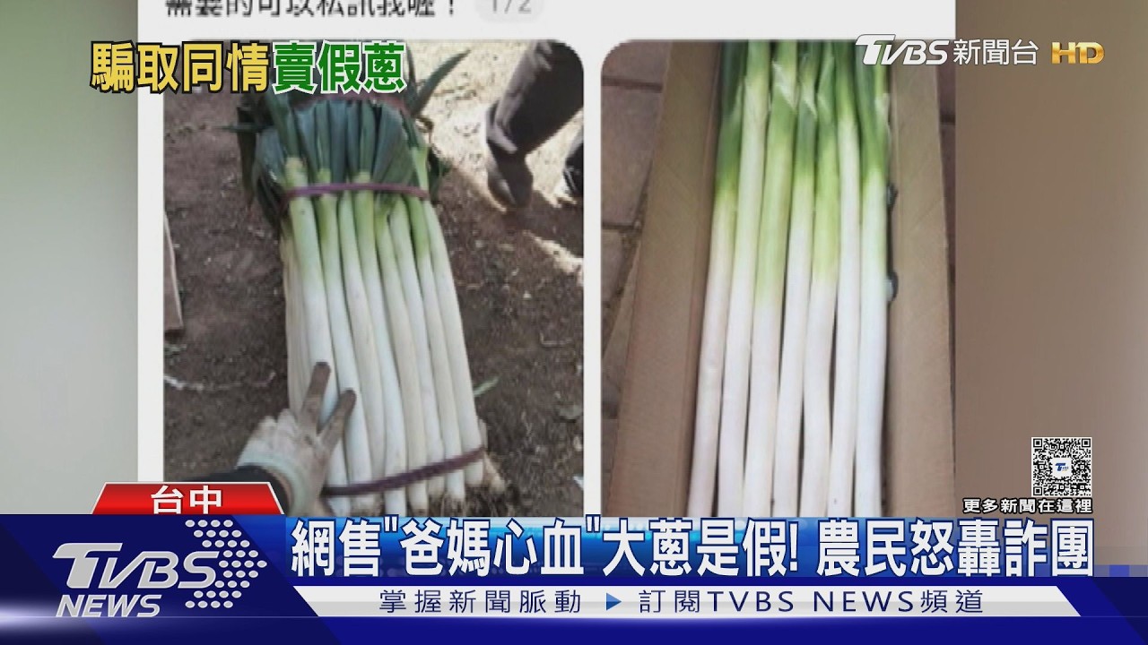 影音/大蔥產季遭盯上!詐團冒用農會「悲情賣蔥」 農民嘆:心血被糟蹋