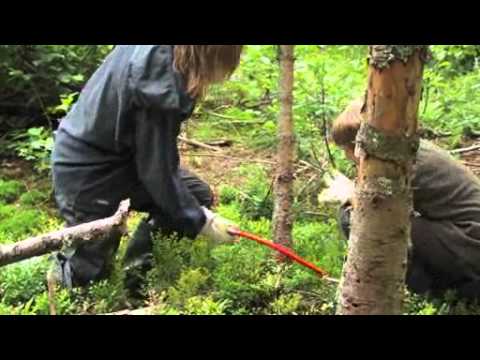 Natur ist Klasse - Oberer Hotzenwald LIFE