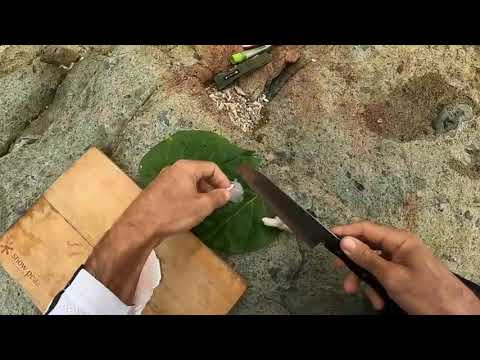 Solo  Hootchie  camping  on  mini  island     Kayaking    Beach Shark fishing