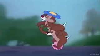 Kalle Anka på friarstråt