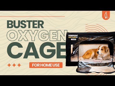 Buster Oxygen Cage for Home Use