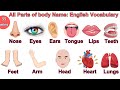 Parts Of The Body In English Parts Of Body Name With Pictures Bodyparts Englishvocabulary
