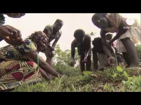 Fao: gli insetti cibo del futuro, ottimi e abbondanti