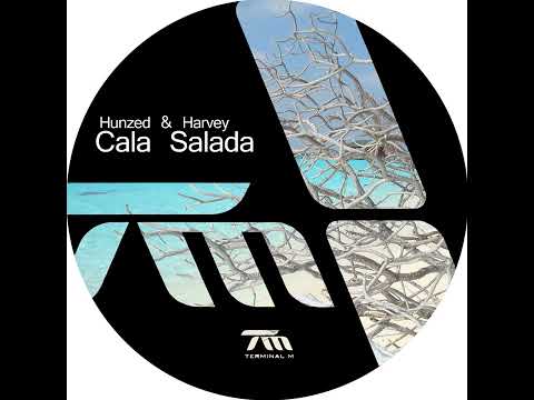 Hunzed & Harvey - Cala Salada (David Mayer Remix)