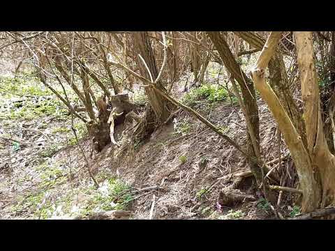 Csikós kút Esztergomban.