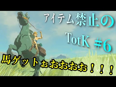 "アイテム禁止縛り"では、馬ちゃんの価値も爆上がりしそうです。【アイテム禁止のティアキン】part6