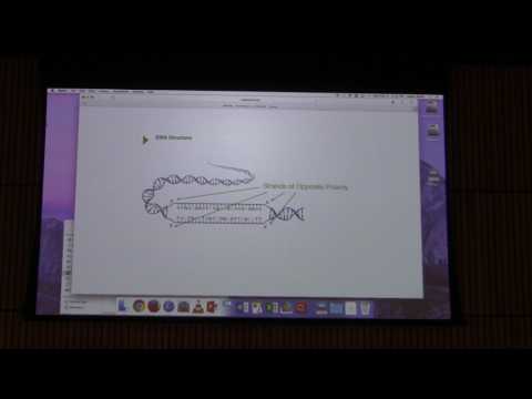DNA Replication II - Kevin Ahern's BB 451 Lecture #42 2017