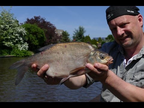 Matze Koch: Friedfisch zum Saisonstart - Matzes Mätzchen 05/2016