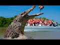 10 BIGGEST Crocodiles In The World