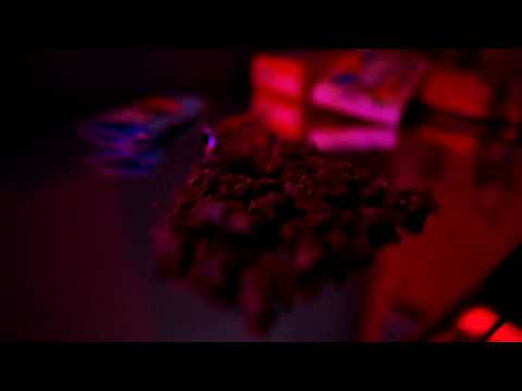 Yung Fume - This Is The S*** That We Do [Music Video] @YungFumeLitm | Link Up TV