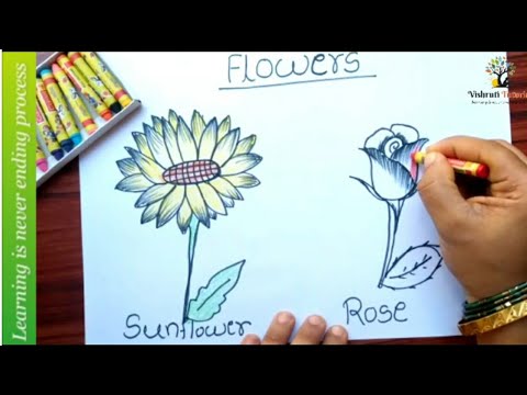 How to draw flowers | easy step by step drawing for kids | Flowers drawing for children |