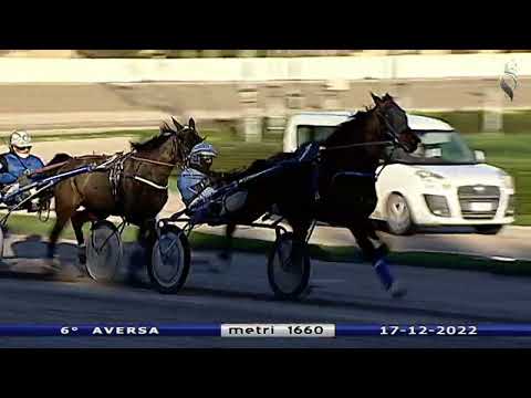 Aversa trotto 17 Dicembre 2022 - 6° Corsa