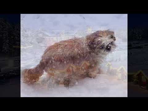 Merry Christmas To You - Loving Caliber (feat Andy Delos Santos)