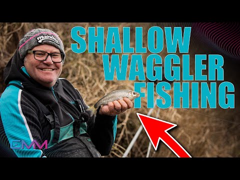 Shallow Waggler | Dean Barlow