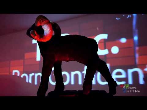 VOLKSWAGEN T-ROC PRESENTATION