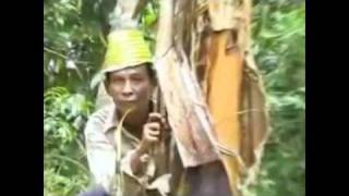 Download lagu Suami Isteri Gaduh Di Selatan Thai mp3