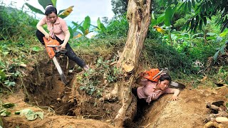 Alone but Unstoppable: Digging Up and Lifting a 500-Pound Old Tree onto a Tractor