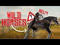 RDR2 Roleplay But We Break In Wild Horses