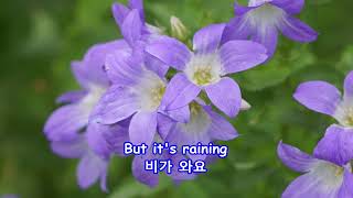 Raining In My Heart - Anne Murray : with Lyrics(가사번역) || Denver Botanic Gardens on July 8, 2017