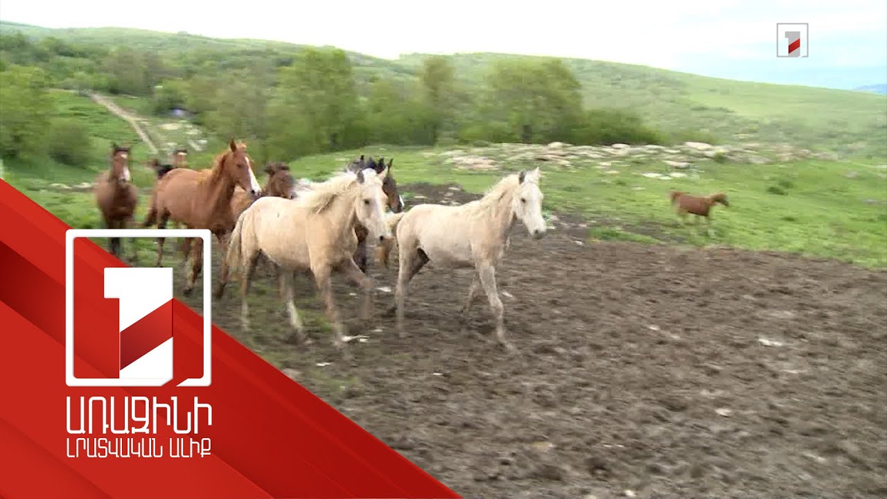 Շվեյցարական հաջողված փորձը՝ Հայաստանի բարձրլեռնային բնակավայրերում